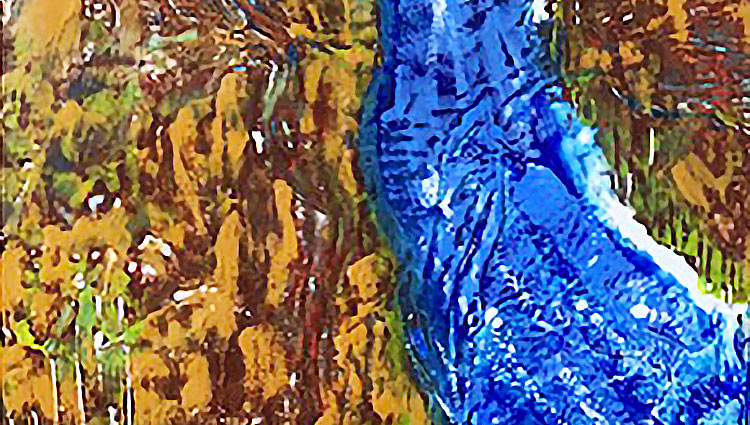 Rivière intérieure